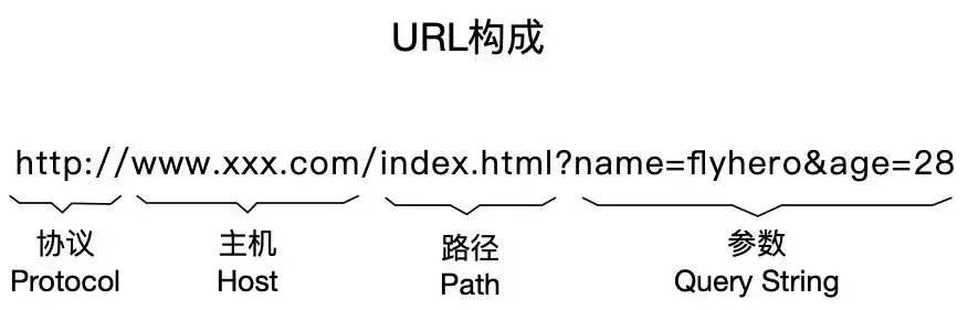 URL构成