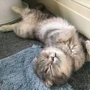 karen111的个人资料头像