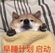 heylcc的个人资料头像