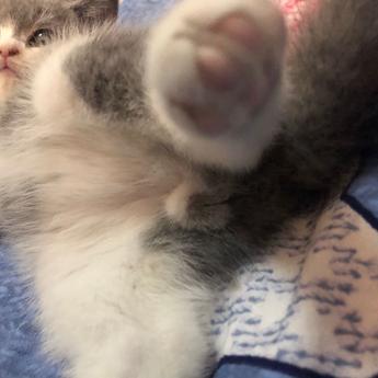 闰土掘金于2019-03-21 10:28发布的图片