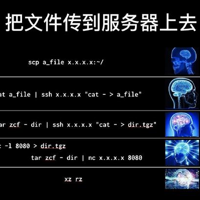 程序员趣事于2019-03-21 16:14发布的图片