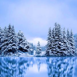 陈委平于2019-03-21 18:06发布的图片