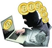 投币从容的个人资料头像