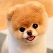 扶得起的阿斗的个人资料头像