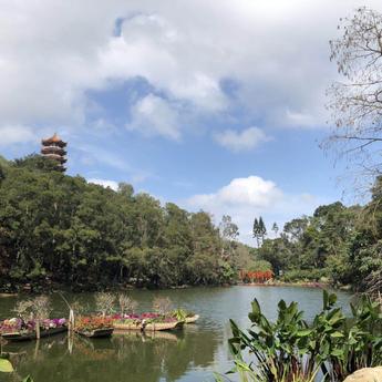 skycity1988于2019-03-22 20:44发布的图片