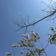 heii的个人资料头像