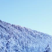 张亮的个人资料头像