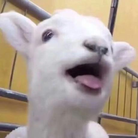 山河远阔人间烟火于2019-03-23 15:50发布的图片