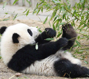 liukejie的个人资料头像