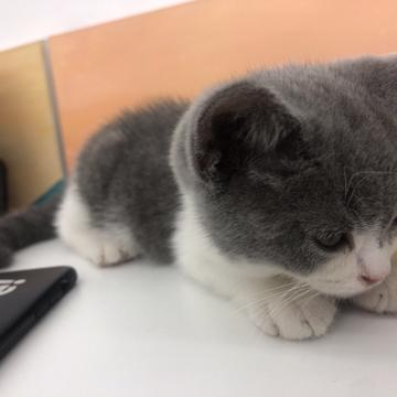 闰土掘金于2019-03-24 18:08发布的图片