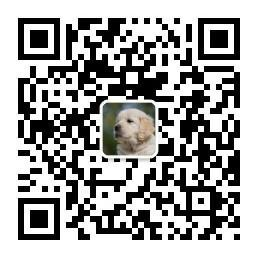 纯洁的技术分享