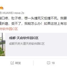 Gujiji于2019-03-25 11:24发布的图片