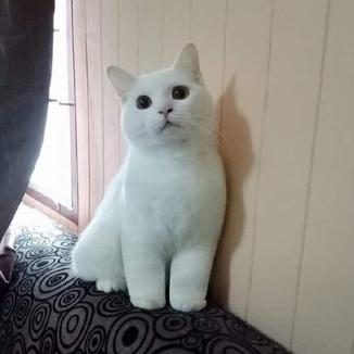 程序员鼓励喵于2019-03-26 09:11发布的图片