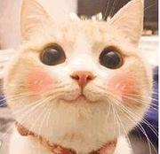 ohh_haha的个人资料头像