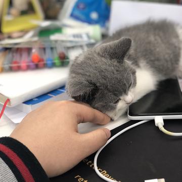 阴明于2019-03-26 11:36发布的图片