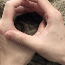 程序员鼓励喵于2019-03-27 21:02发布的图片