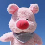 你喜欢海却不喜欢山的个人资料头像