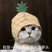 sunhuihuibuhui的个人资料头像