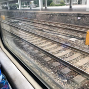 Halo爱学习58209的个人资料头像