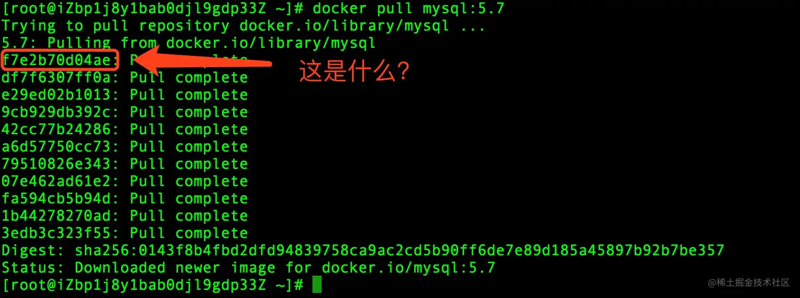 Docker 镜像下载