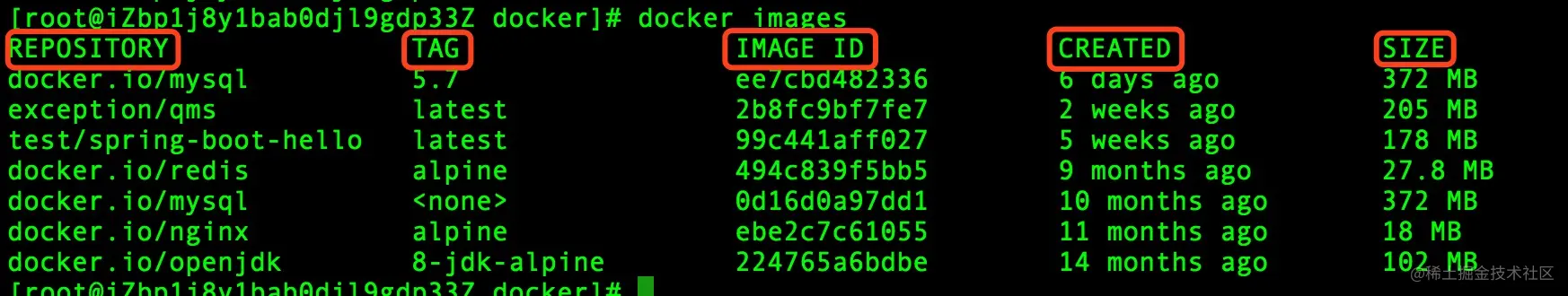 Docker 查看镜像信息