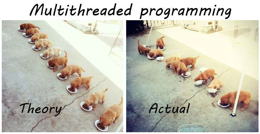 dogs_multithread_programming