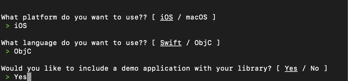 创建本地仓库选项