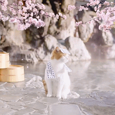 6号小码猿于2019-03-31 22:00发布的图片