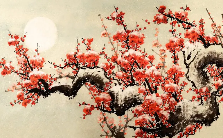 ASP.NET开发环境配置