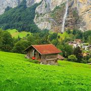 haibiscuit的个人资料头像