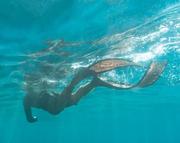 ngu2008的个人资料头像