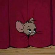 wait本尊58049的个人资料头像