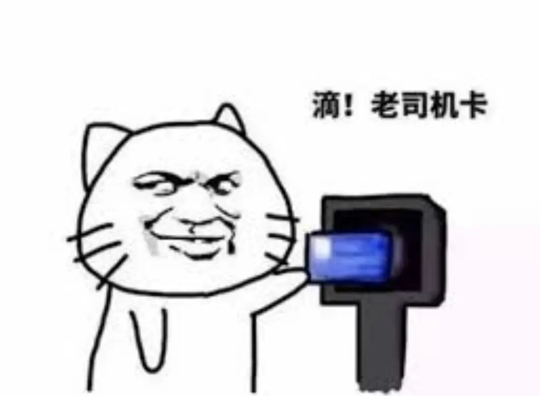 image-20190306235445836