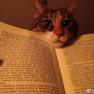 网路冷眼于2019-03-07 02:26发布的图片