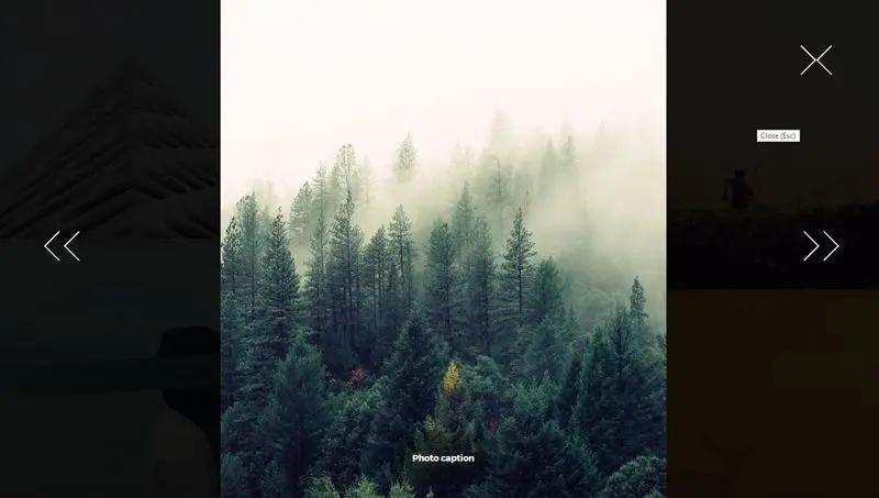 Demo Image: Magnific Gallery