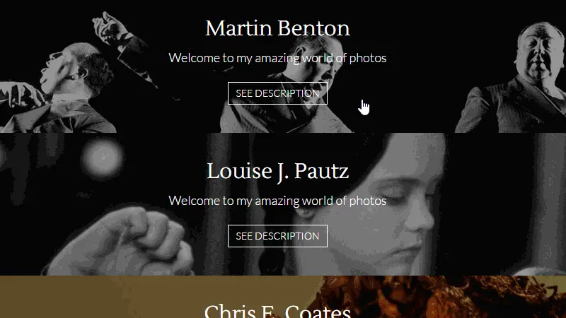 Demo Image: Vertical Gallery