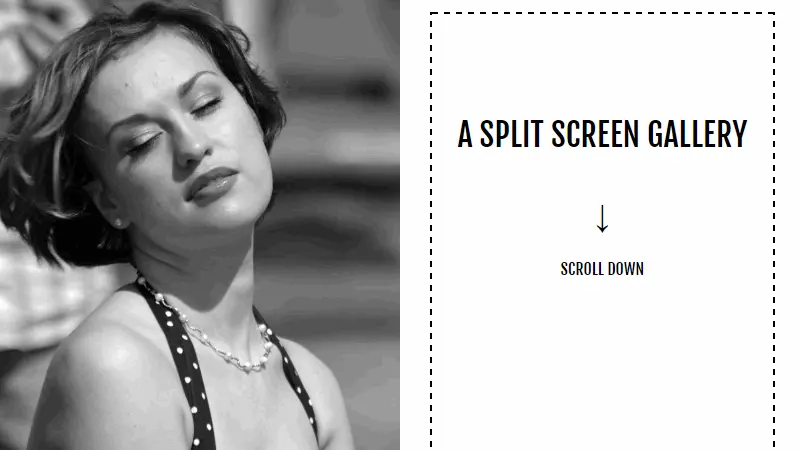 Demo Image: Split Screen Gallery