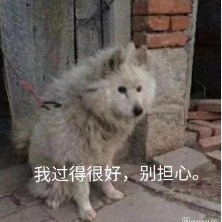 圈圈的圈于2019-03-07 23:55发布的图片