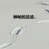 沙雕动图于2019-03-08 12:18发布的图片