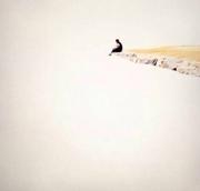 梁飞宇的个人资料头像