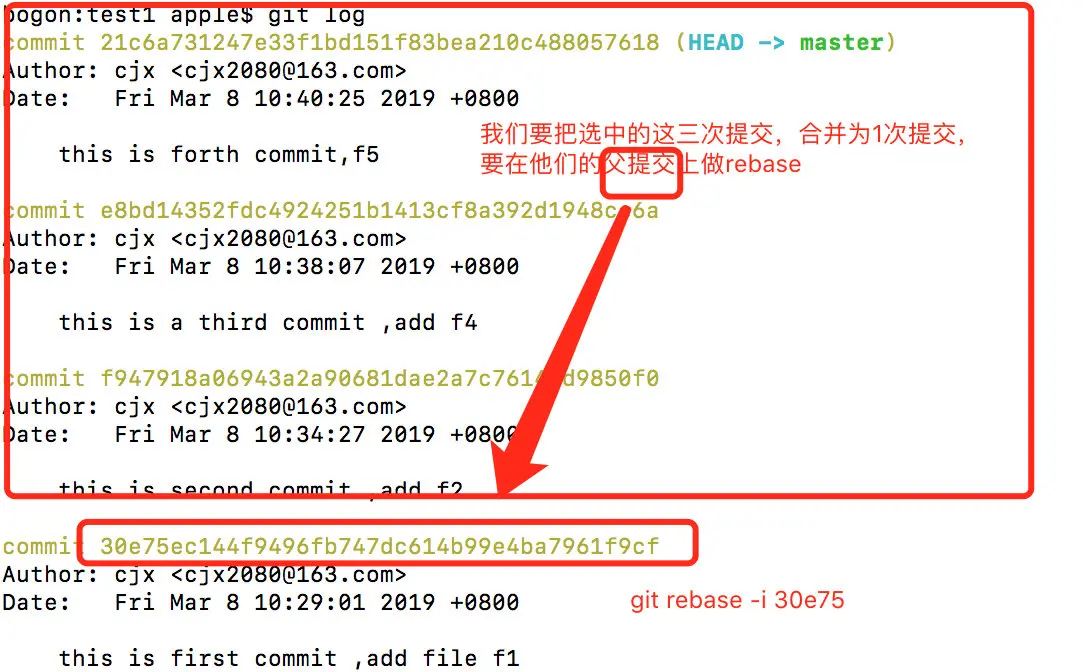 image-20190308110734050