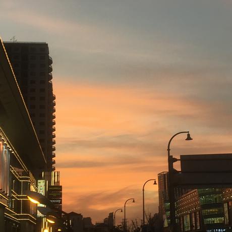 叶子嘞于2019-03-08 20:49发布的图片