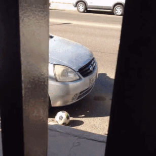 沙雕动图于2019-04-01 14:18发布的图片