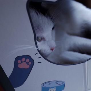 16px于2019-04-01 16:19发布的图片