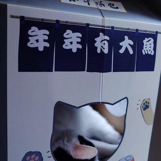 16px于2019-04-01 16:19发布的图片