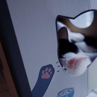 16px于2019-04-01 16:19发布的图片