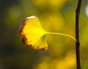 hack7621的个人资料头像