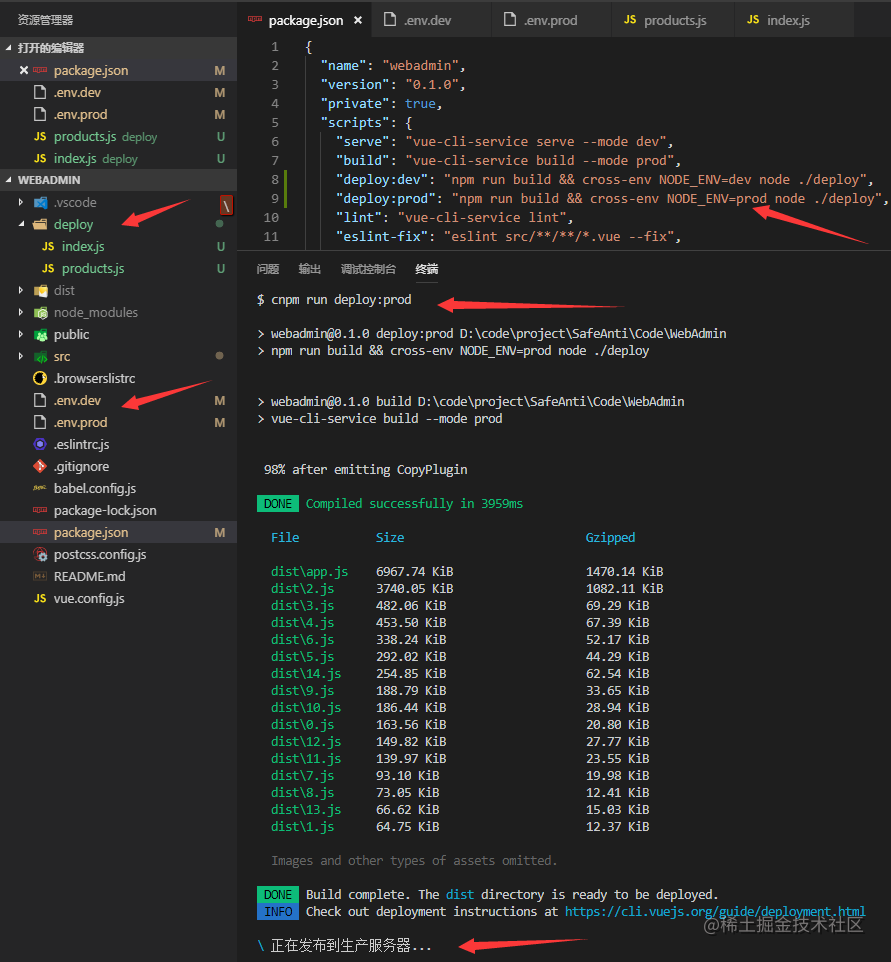 vue config