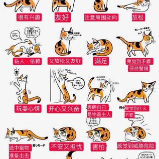喵秒喵于2019-04-10 16:50发布的图片