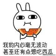 自学成蠢材的个人资料头像